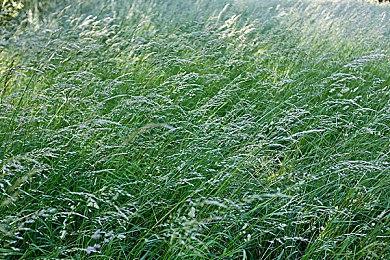 《采石场惊魂》新截图发布 将有在线玩法